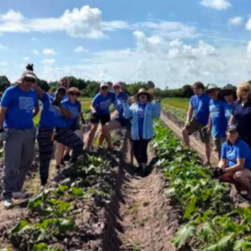 Shining Light Garden